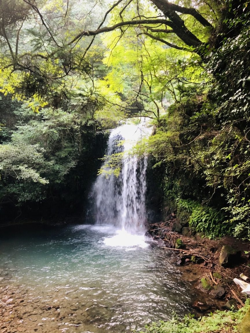 観光の様子（クリックで次の写真）